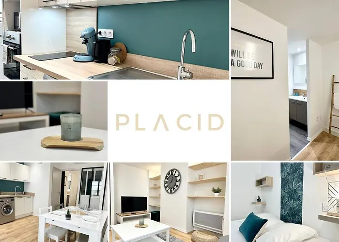 Le Moliere - Hyper Centre - Spacieux - Lumineux *