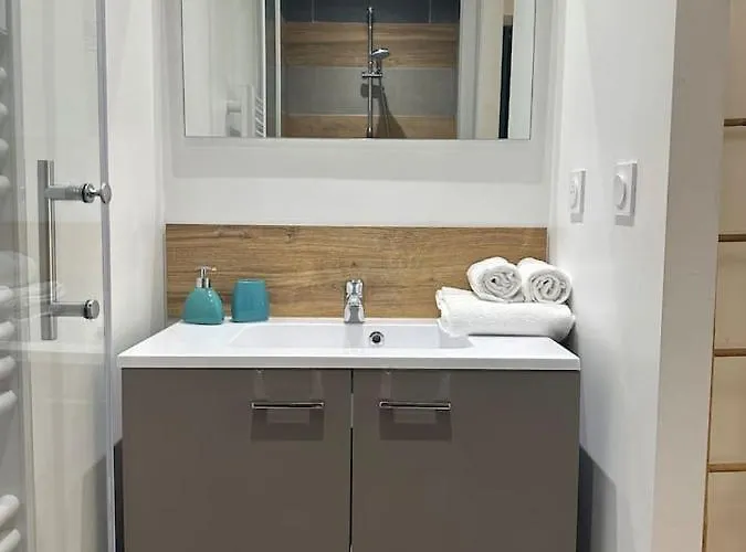 Le Moliere - Hyper Centre - Spacieux - Lumineux Mont-de-Marsan